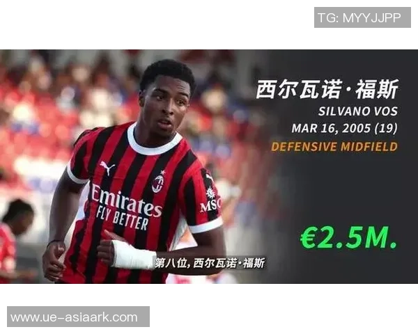 荷兰足球新星崛起近期明星阵容全面解析与展望